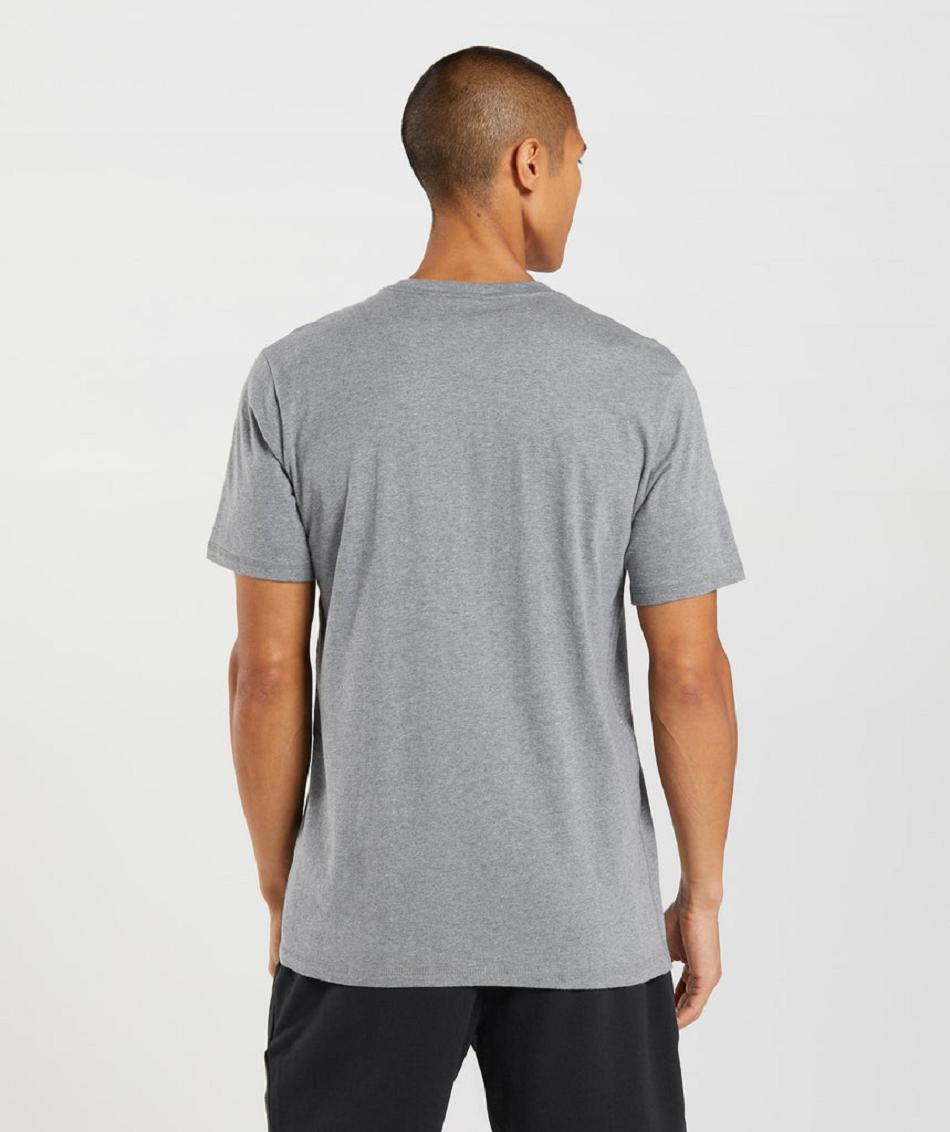 T Shirts Gymshark Sharkhead Infill Hombre Gris | CO 3316XYU